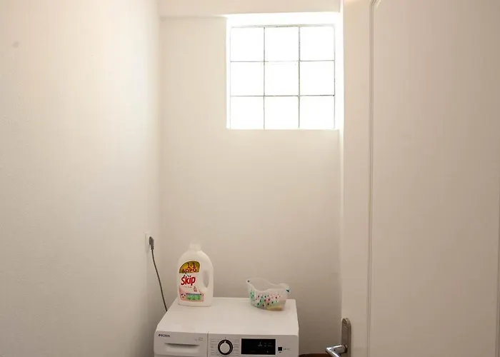 Sunflower By The Sea