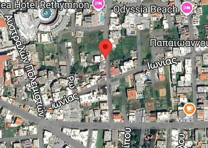 Sunflower By The Sea