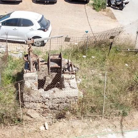 Sunflower By The Sea *