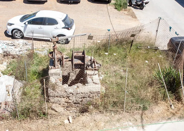 Sunflower By The Sea *